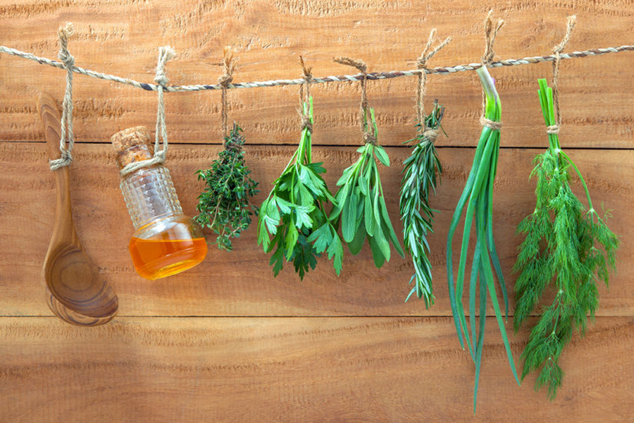 7 hierbas aromáticas imprescindibles en tu dieta