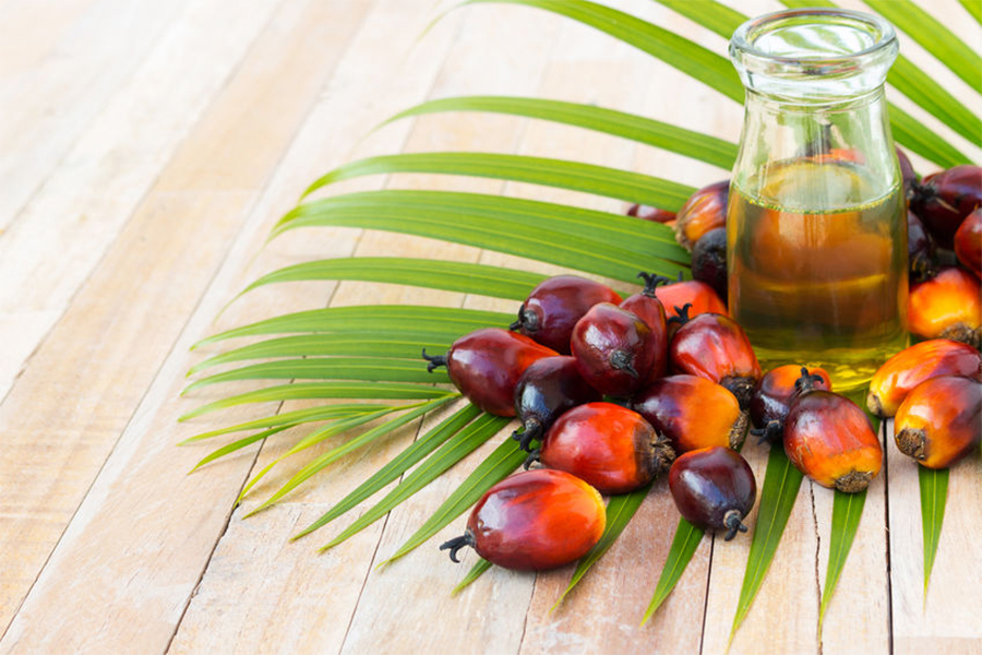 ¿Qué sabes del aceite de palma?