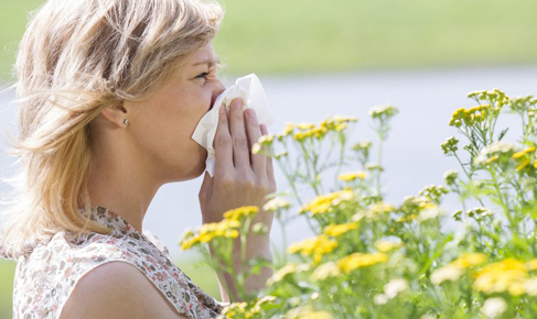 Cómo sobrevivir a las alergias de la primavera